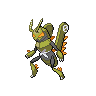 Shiny Lokix